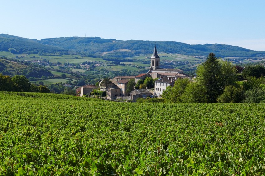 la roche